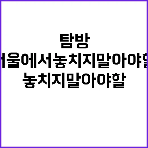 서울에서 놓치지 말…