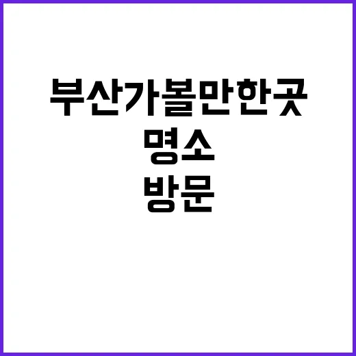 부산 가볼만한 곳:…