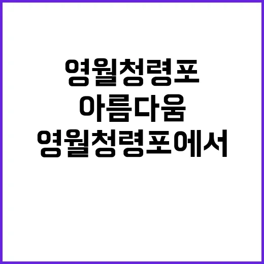 영월 청령포에서 자…