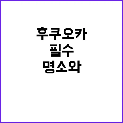 후쿠오카에서 쇼핑을 즐기는 방법: 필수 명소와 팁