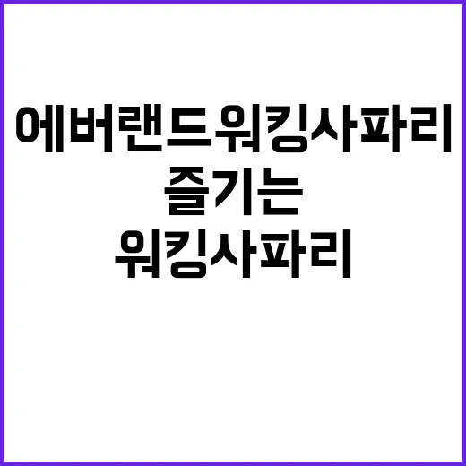 에버랜드 워킹사파리…