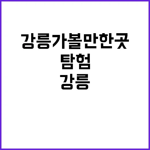 강릉 가볼만한 곳을…