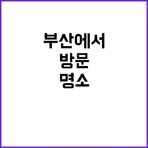 부산에서 꼭 방문해…