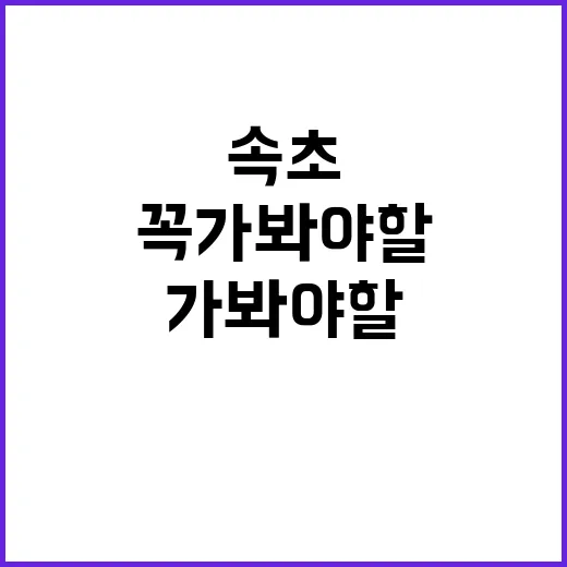 속초에서 꼭 가봐야…