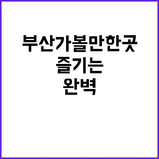 부산 가볼만한 곳을…