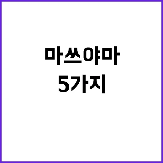 마쓰야마에서 꼭 해…