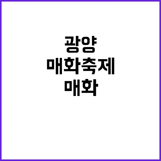 광양 매화축제를 즐…