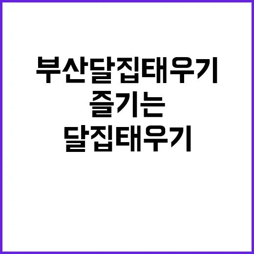 부산 달집태우기를 제대로 즐기는 방법