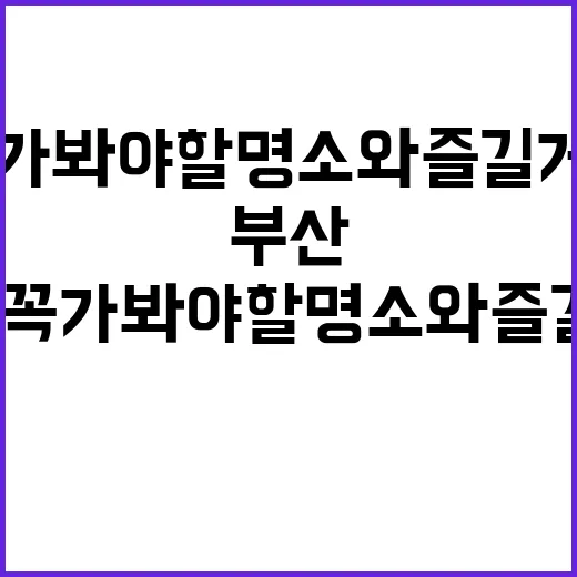 부산 여행: 꼭 가…