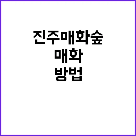 진주 매화숲에서 잊…