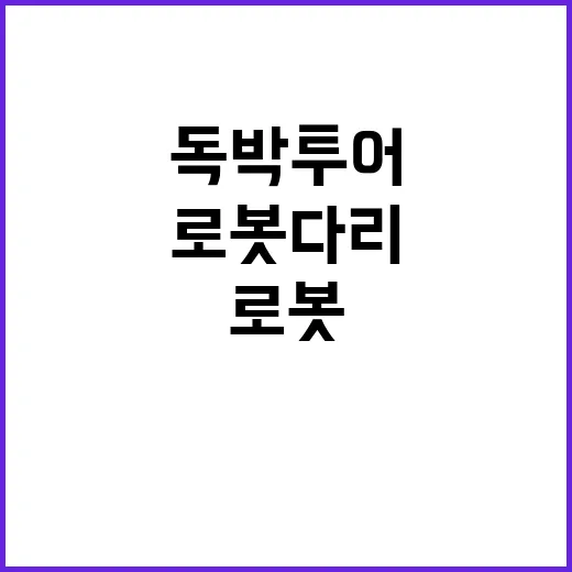 독박투어를 완벽하게 즐기는 방법: 로봇다리와 함께하는 여정