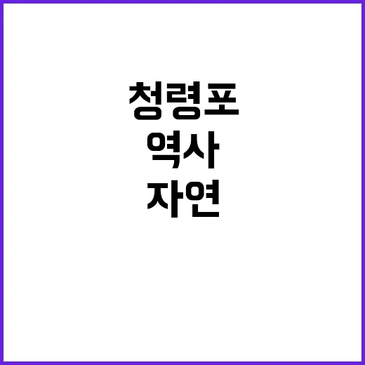 청령포에서 자연과 …