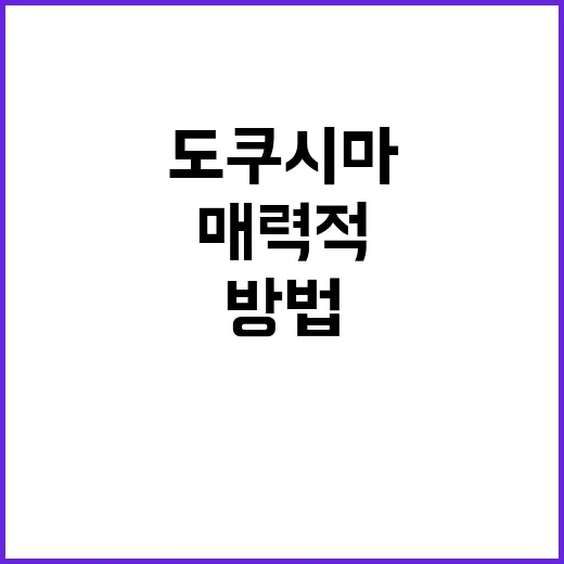 도쿠시마를 매력적으로 경험하는 방법