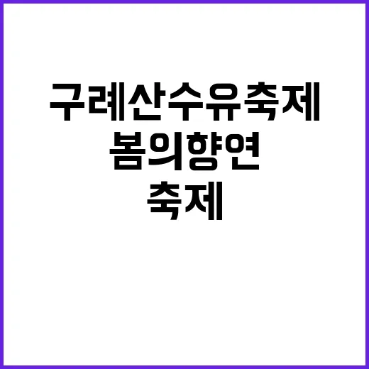 구례 산수유축제를 즐기는 방법: 봄의 향연 속으로