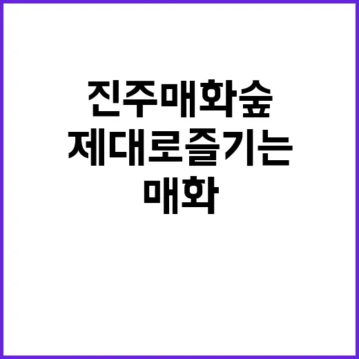 진주 매화숲을 제대로 즐기는 방법