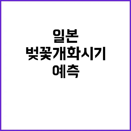 일본 벚꽃 개화시기를 정확히 예측하는 방법