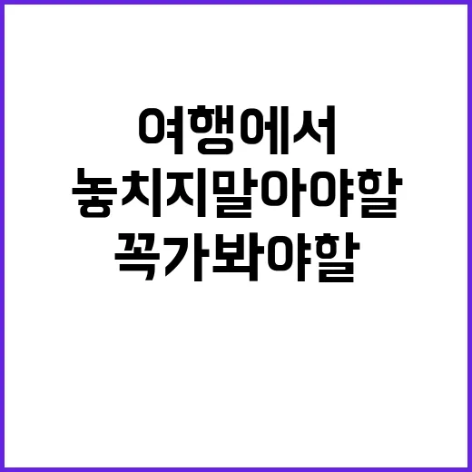 부산 여행에서 꼭 가봐야 할 곳들: 놓치지 말아야 할 명소