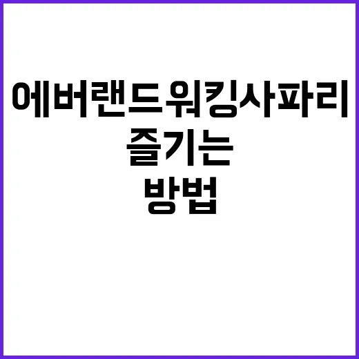 에버랜드 워킹사파리 제대로 즐기는 방법