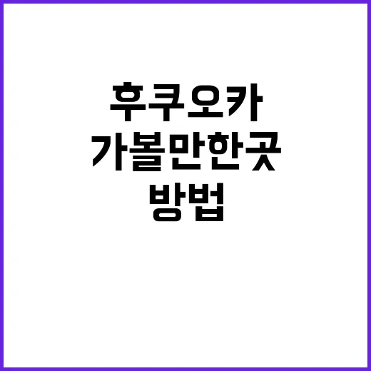 후쿠오카 가볼만한 …