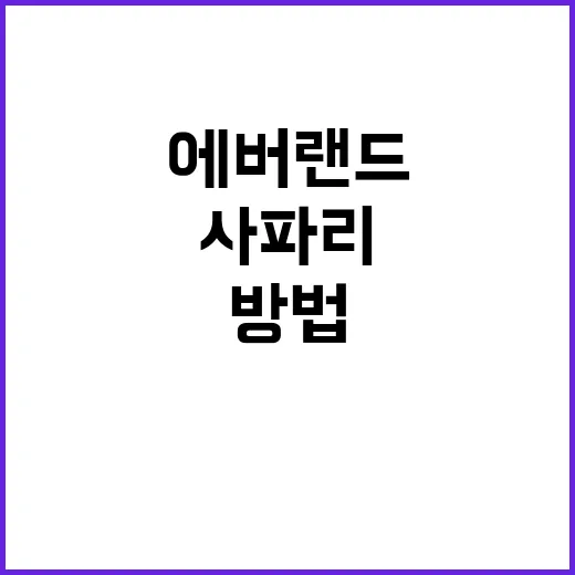 에버랜드 사파리에서…