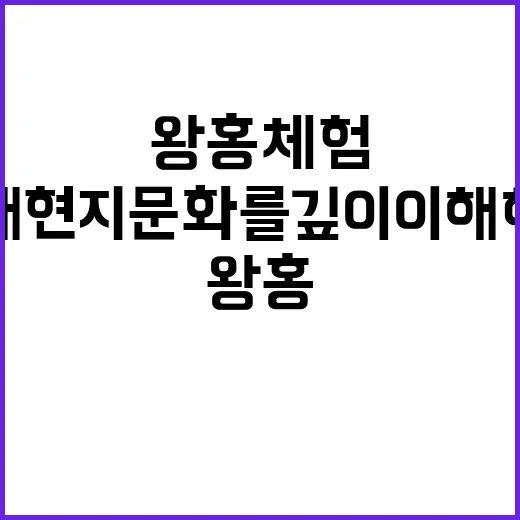 왕홍체험을 통해 현…