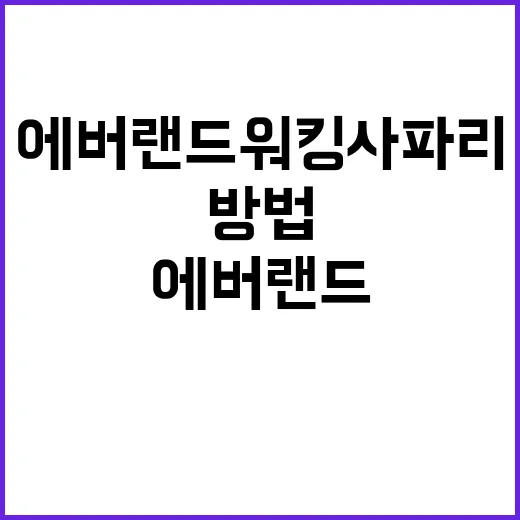 에버랜드 워킹사파리…