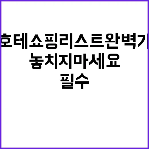 돈키호테 쇼핑리스트…