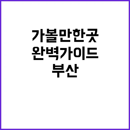 부산 가볼만한 곳을…