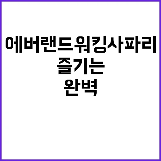 에버랜드 워킹사파리…