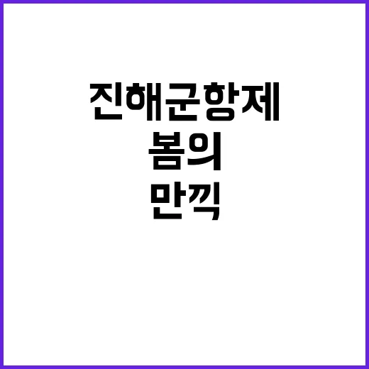 진해군항제를 즐기는…