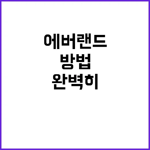 에버랜드를 완벽히 …