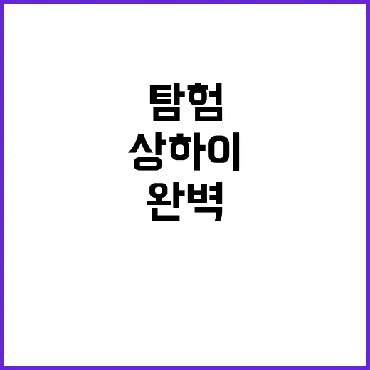 상하이를 완벽하게 …