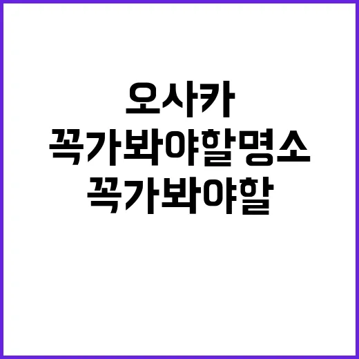 오사카에서 꼭 가봐…