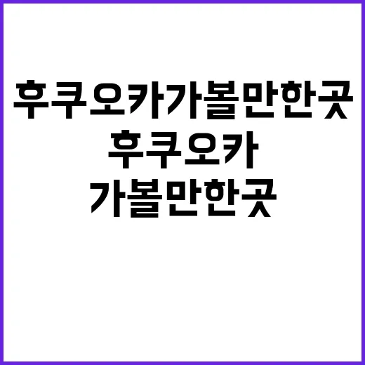 후쿠오카 가볼만한 …