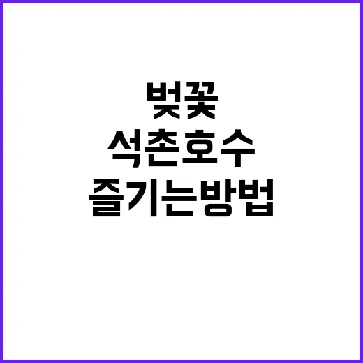 석촌호수 벚꽃을 완벽하게 즐기는 방법