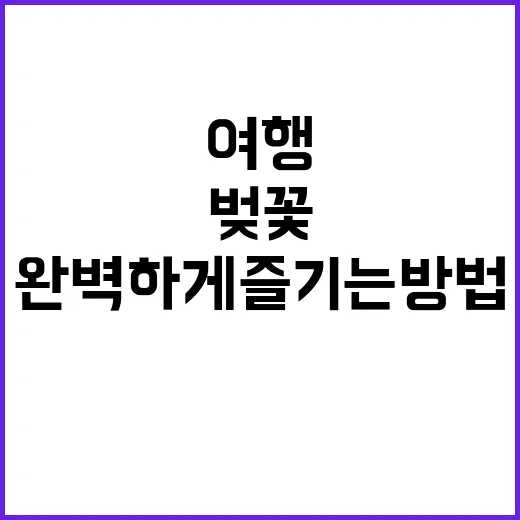 부산 벚꽃 여행을 …