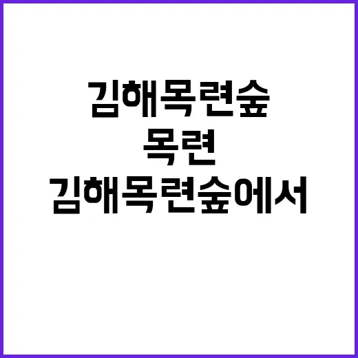 김해 목련숲에서 마…