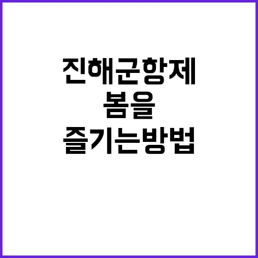 진해군항제에서 봄을 즐기는 방법