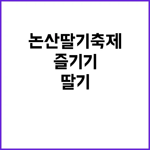 논산딸기축제를 즐기기 위한 최고의 방법