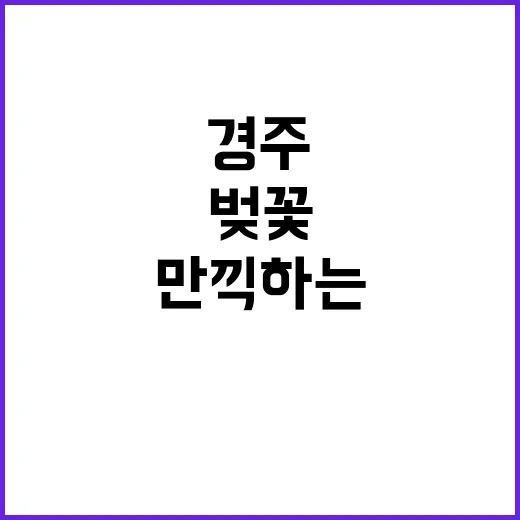 경주에서 벚꽃을 만끽하는 방법