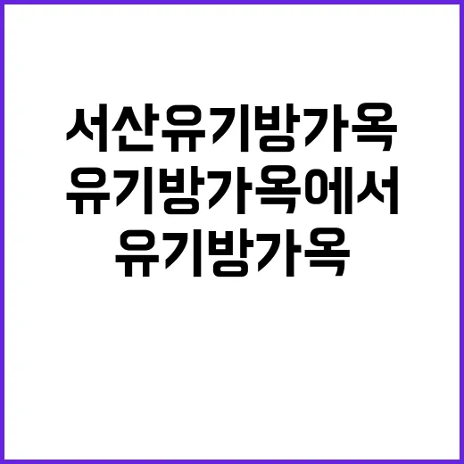 서산 유기방가옥에서 느긋한 하루 보내는 방법