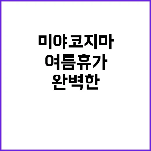 미야코지마에서 완벽한 여름 휴가를 보내는 방법