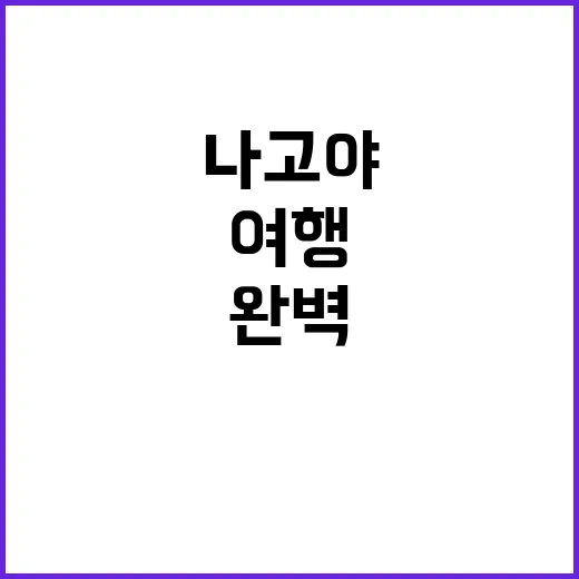 나고야 여행을 완벽…