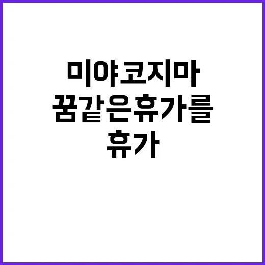 미야코지마에서 꿈같…