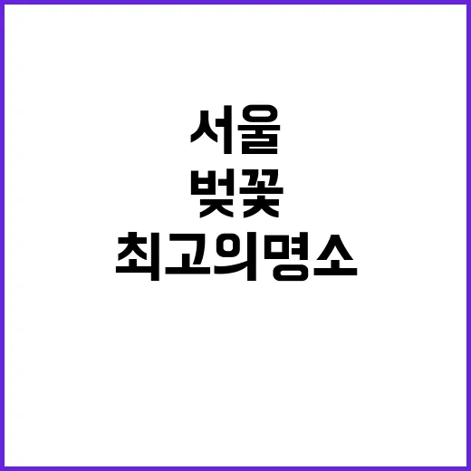 서울에서 벚꽃을 만끽하는 방법: 최고의 명소와 팁