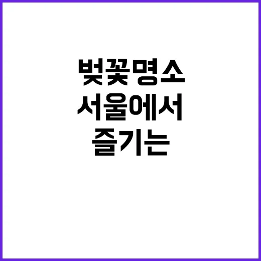서울에서 벚꽃 명소…