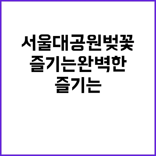 서울대공원 벚꽃을 즐기는 완벽한 방법