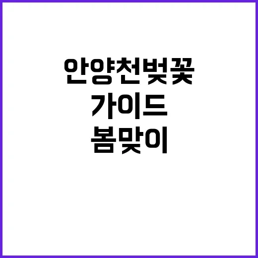 안양천 벚꽃을 즐기…