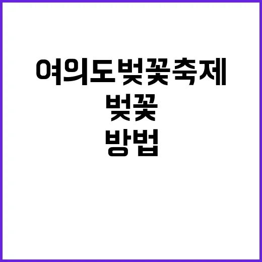 여의도 벚꽃축제를 만끽하는 방법