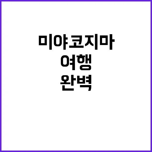 미야코지마에서 완벽한 여행을 즐기는 방법